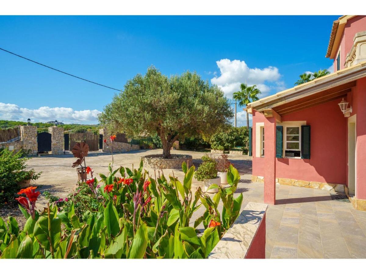 Ferienhaus Sa Olivera - Alc160 By Interhome *